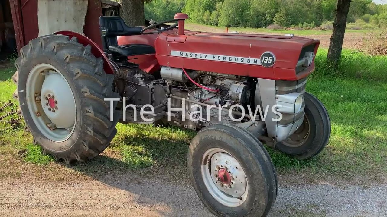 Massey Ferguson 135 in the Garden
