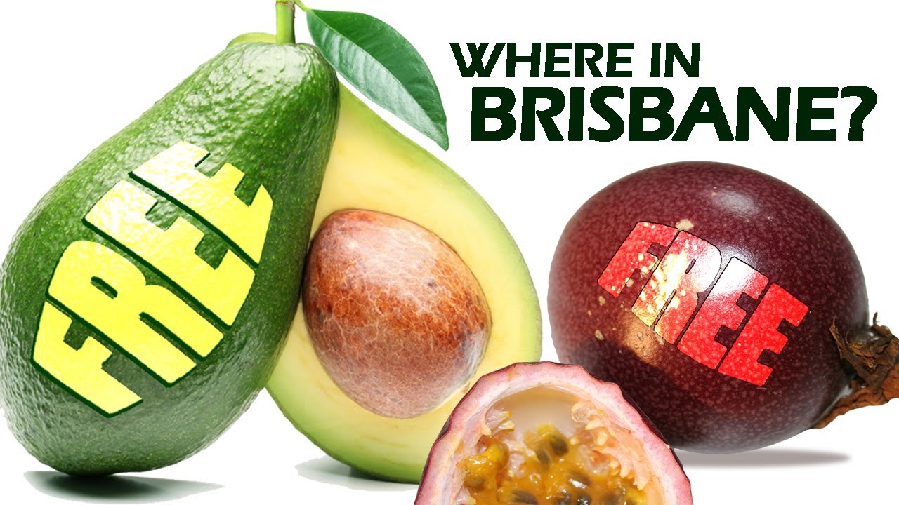 Want FREE fresh fruit in Brisbane? Here's how!