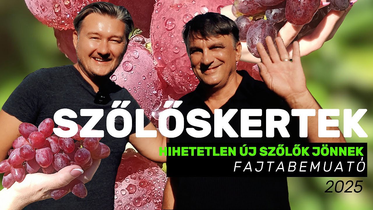 🍇 SZŐLŐSKERTEK 2./17.rész ►Hihetetlen új szőlők jönnek! Milan Penicka 2025-ös fajtái! FAJTABEMUATÓ