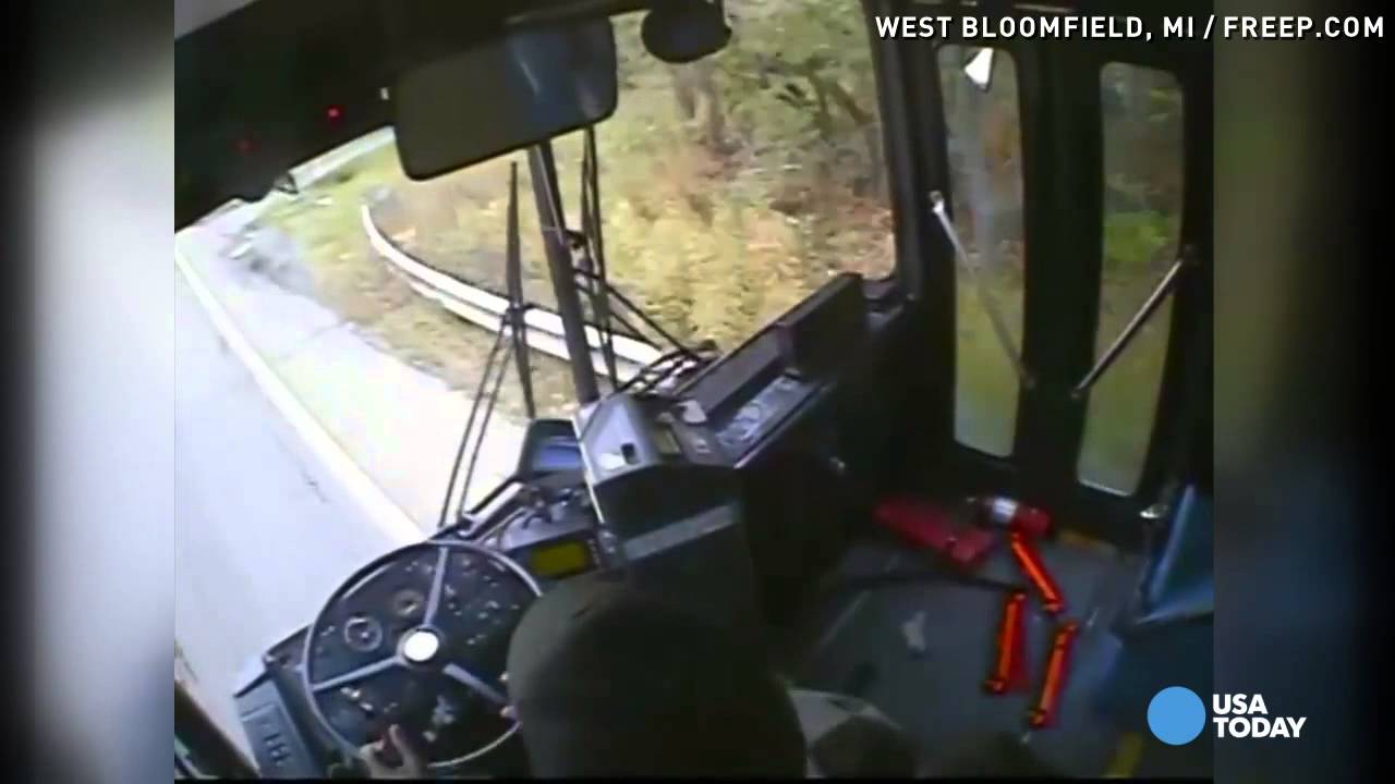 Bus crash caught on video after driver falls asleep