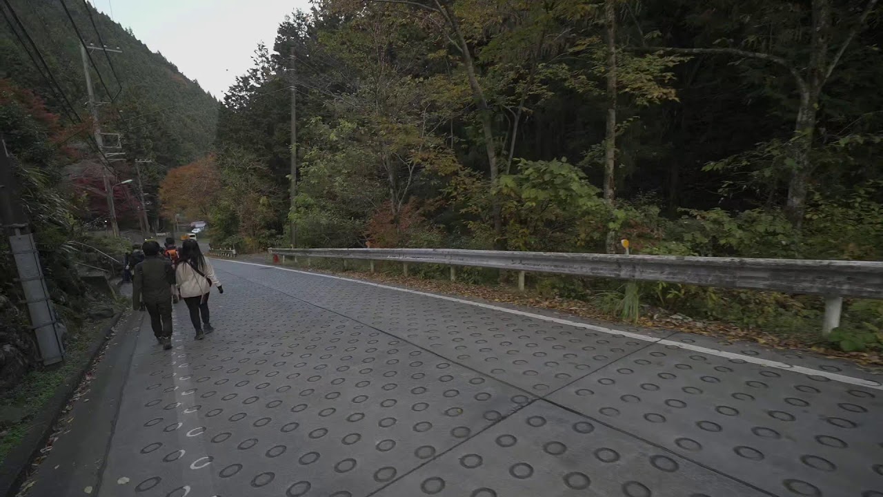 Tokyo Ome in the fall - Live