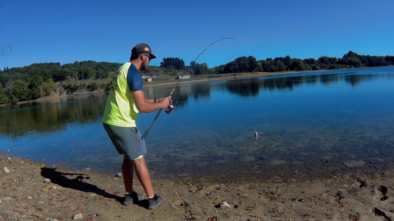 Pesca de Perca Fluviatilis