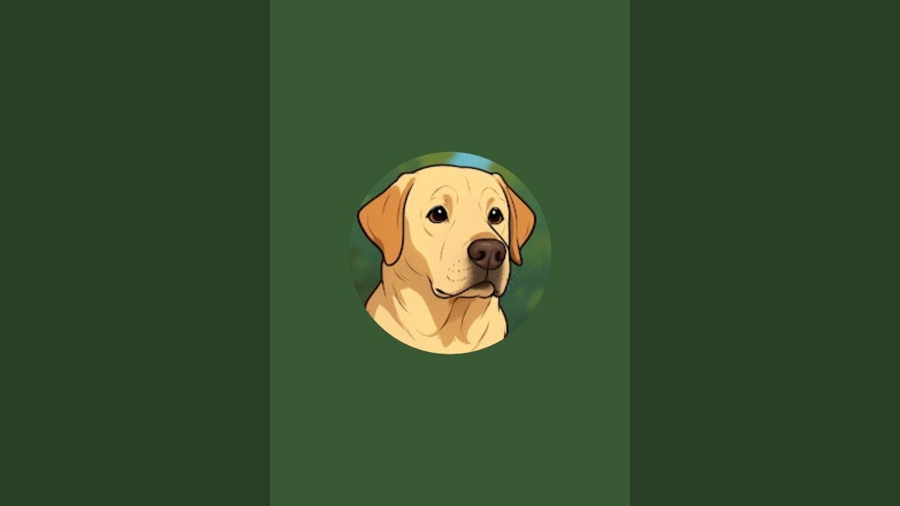 Fun with Coco  is live