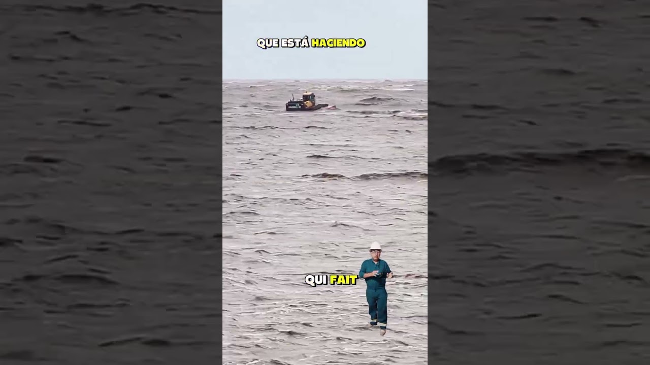 una excavadora anfibia