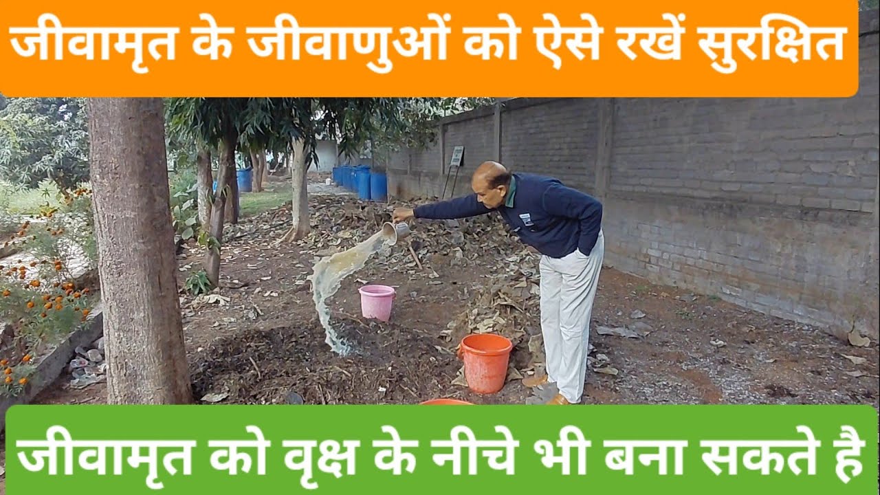 जीवामृत के जीवाणुओं को वर्षों तक सुरक्षित रखने का उपाय।