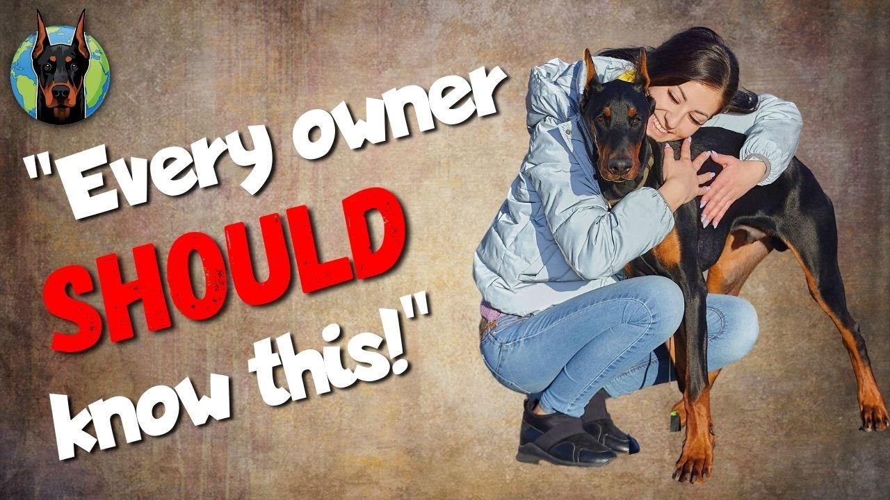 Train Your Doberman in a SNAP: 7 Expert Shortcuts
