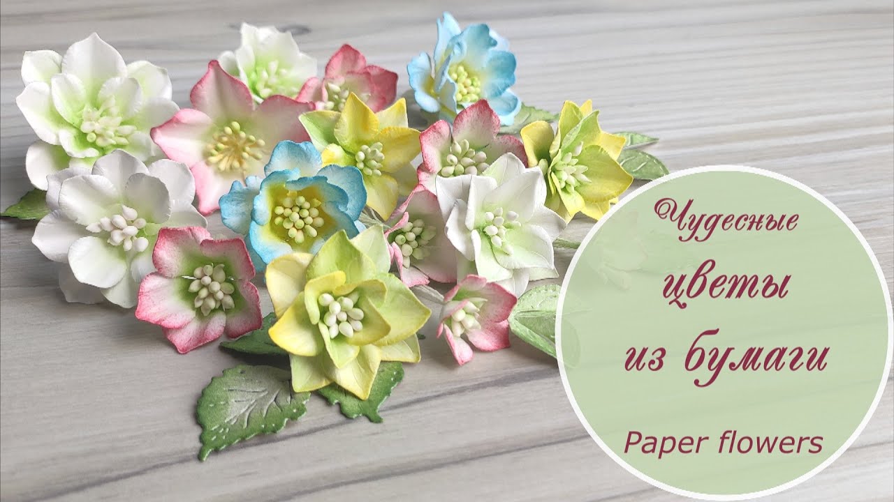 Чудесные цветы из бумаги / Paper flower tutorial