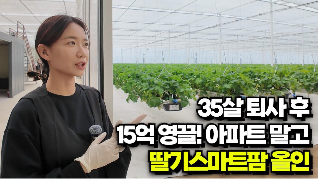 35살 퇴사후 15억영끌! 아파트 말고 딸기스마트팜 올인(Quit at 35, bet $1.08M on a strawberry smart farm over an apartment)