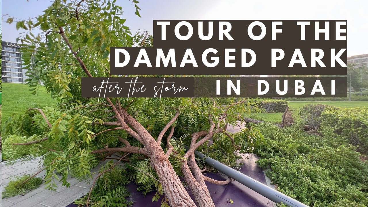 The Storm Strikes | Tour of the damaged park after the storm in Dubai