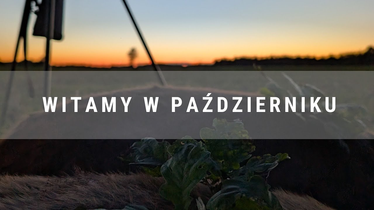 DIANA BYC 21/2025 Witamy w październiku