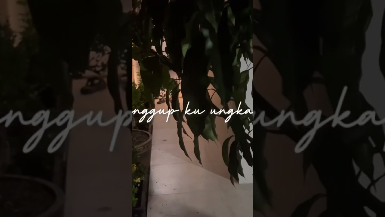 Biar Kusimpan Saja | Erwin Agam #shortvideo