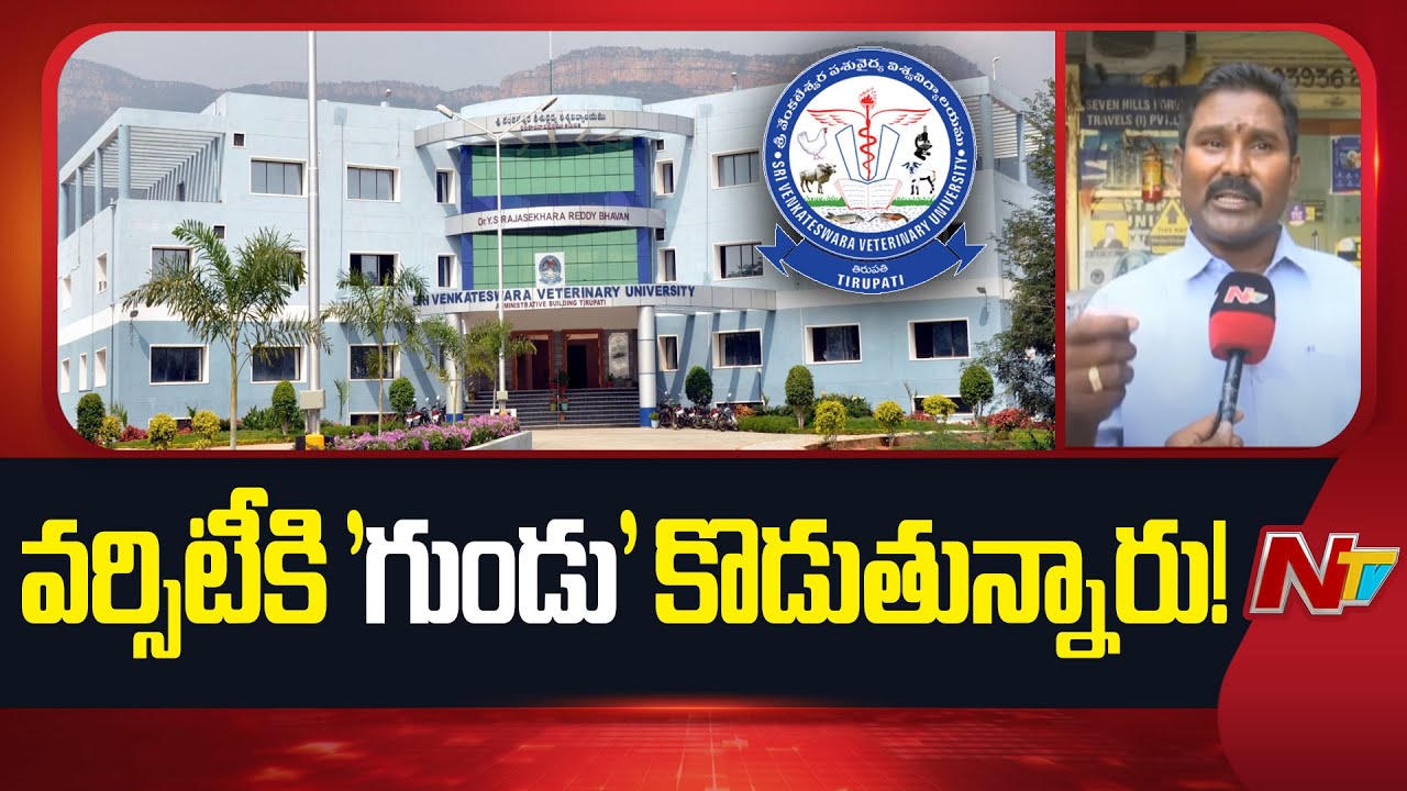 Special Story on Sri Venkateswara Veterinary University (SVVU), Tirupati | NTV Telugu