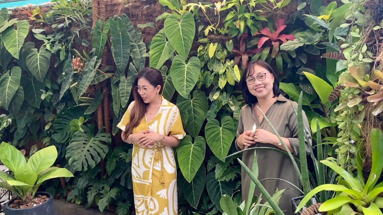 Home Garden Visit Vlog #4 || Thanks to one of our Ka Plantita for sharing her journey