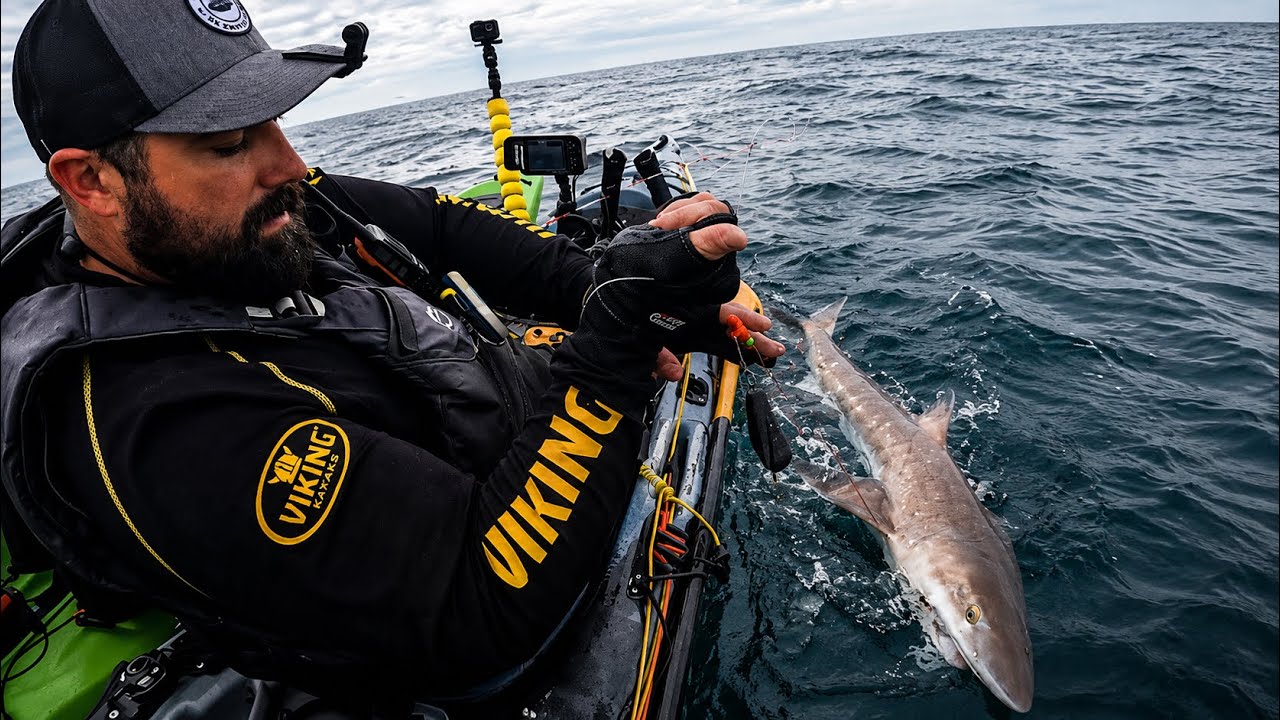 Fishing For Big Fish On A Kayak - Tope, Bullhuss & Conger - Sea Fishing Uk - Kayak Fishing Uk