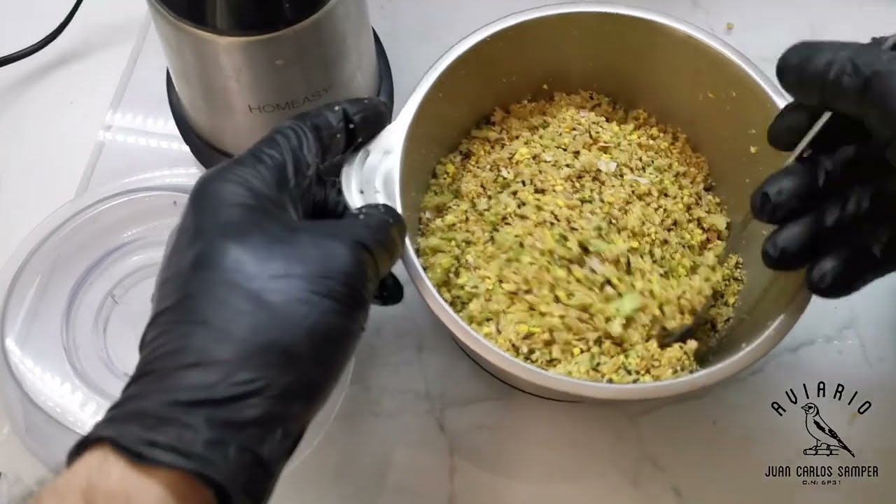 Pasta de cría para el 2025