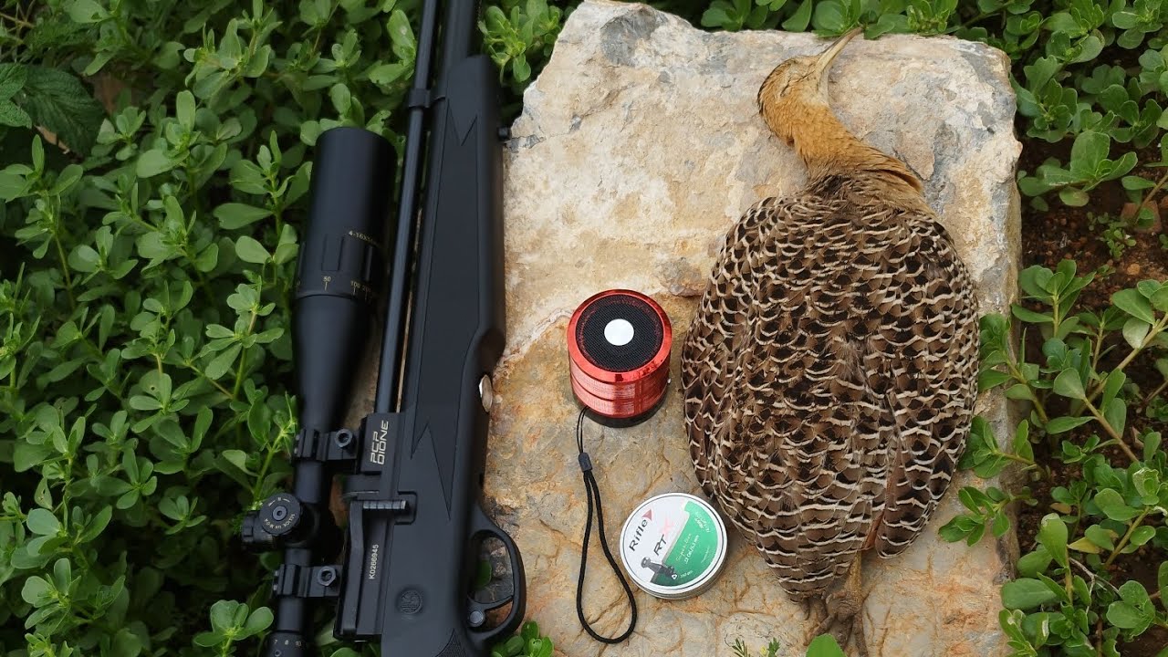 🎯