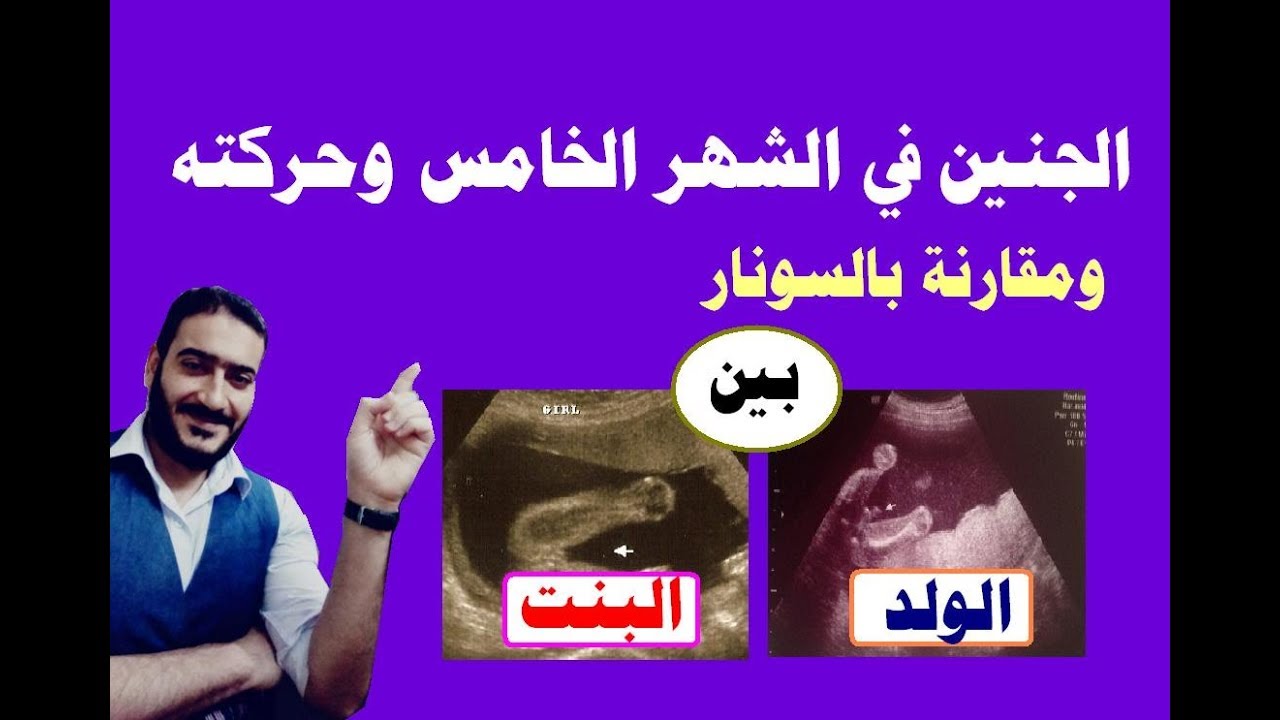 الجنين في الشهر الخامس وطبيعة حركة الجنين ونصائح للحامل ومقارنة بالسونار بين الجنين الذكر والأنثى