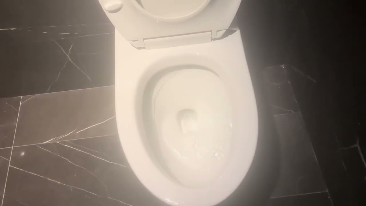 Toto CT728 and Sloan urinal