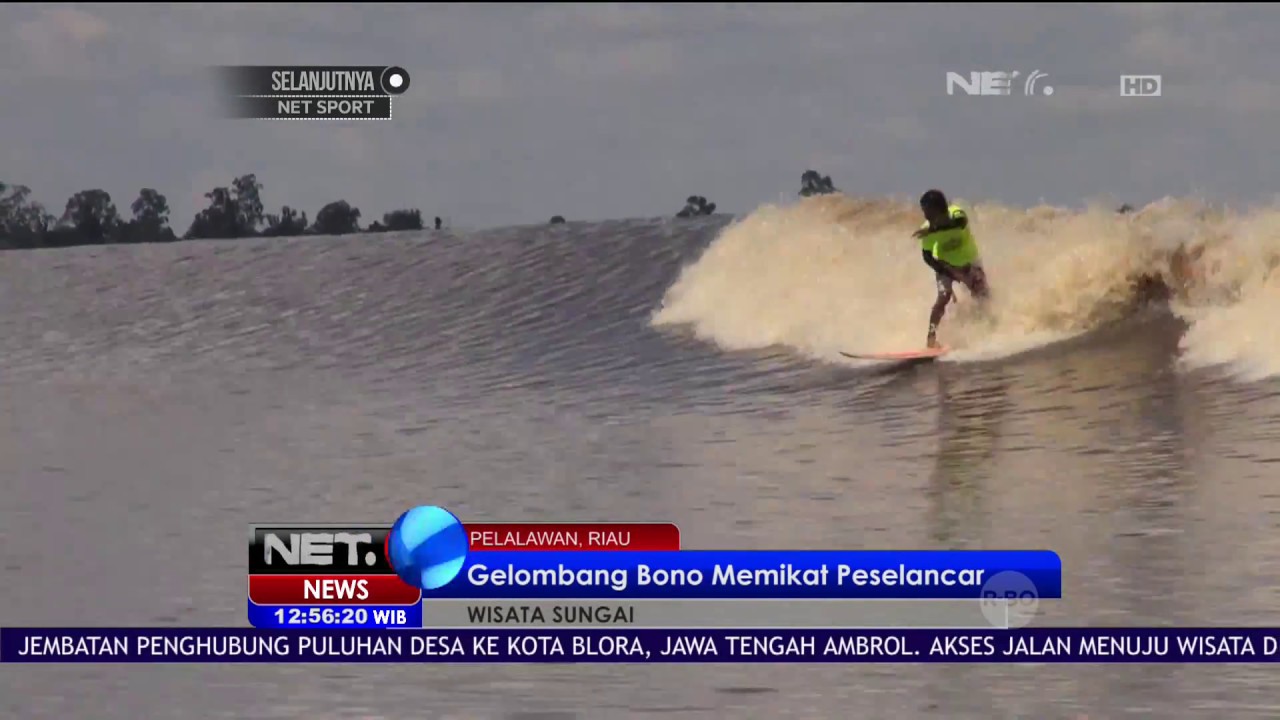Dahsyatnya Gelombang Bono Memikat Peselancar Luar dan Dalam Negeri - NET 12