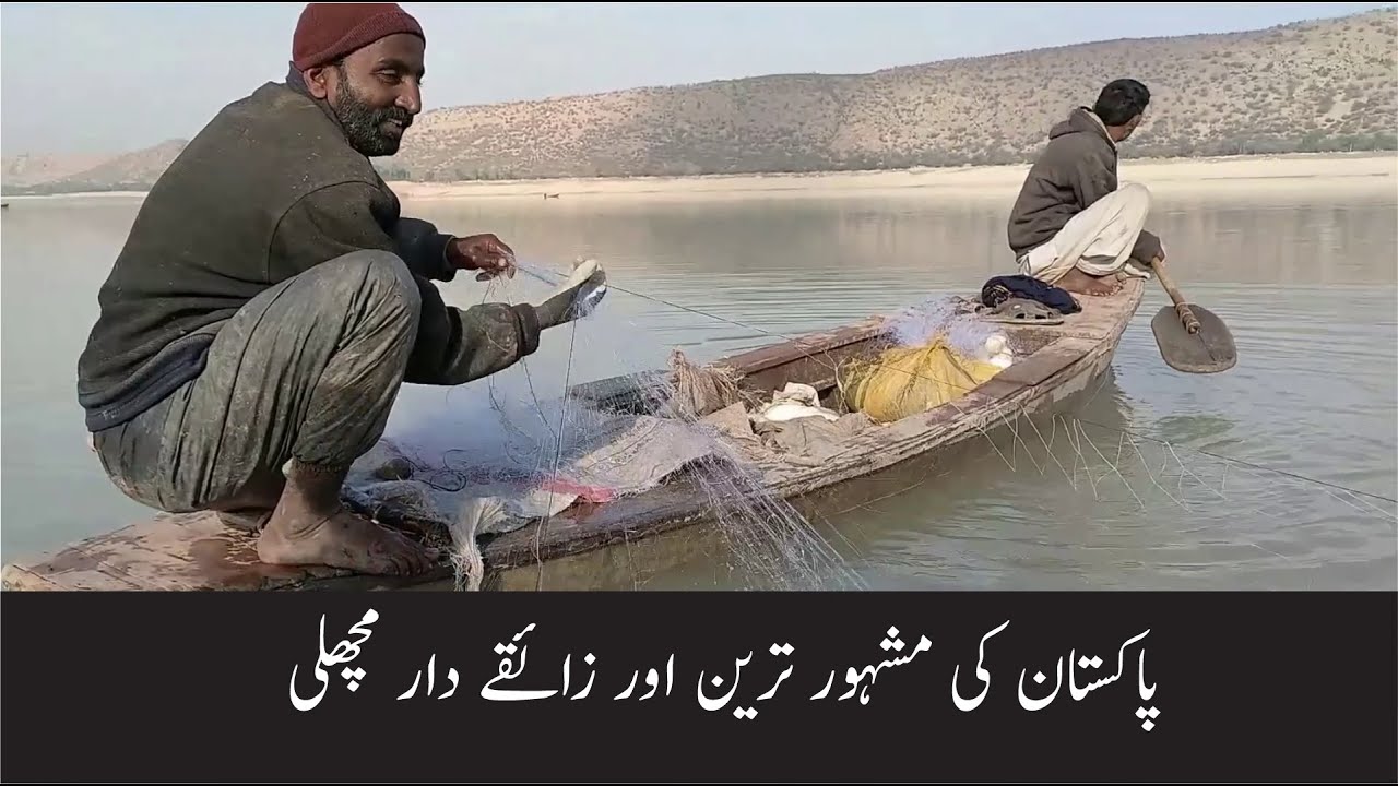 Fish of Kohat Tanda Dam || Kohat vlog || Hanan shah #kohat #kohatdam #kohatfish #kohatvlog #hanan