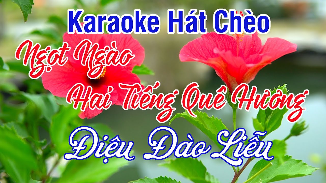 NGỌT NG&Agrave;O HAI TIẾNG QU&Ecirc; HƯƠNG - Karaoke H&aacute;t Ch&egrave;o Điệu Đ&agrave;o Liễu