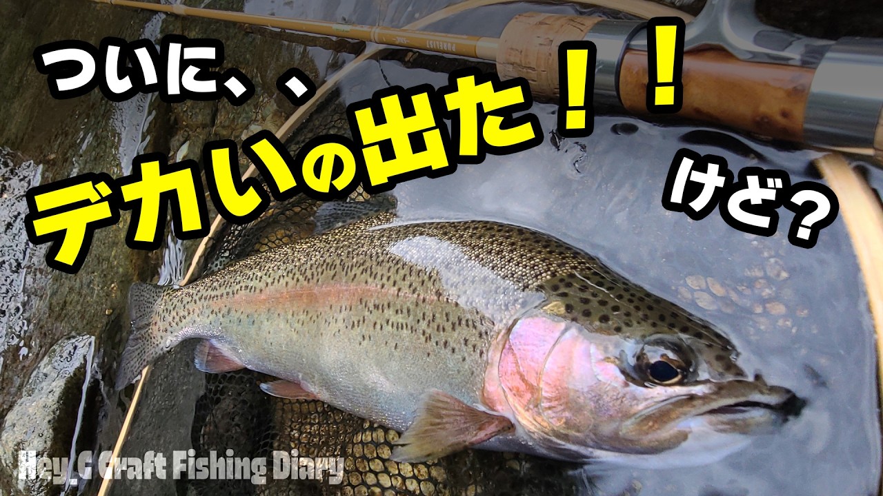 遂にデカい魚が掛かりました！！　けど、、、？　豊平川、札幌近郊のトラウトフィッシング