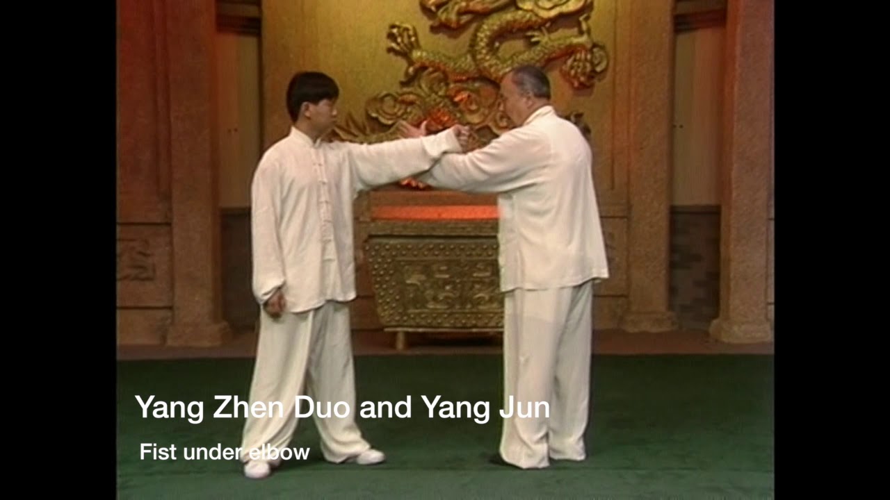 Fist Under Elbow Dong Ying Jie, Yang Zhen Duo