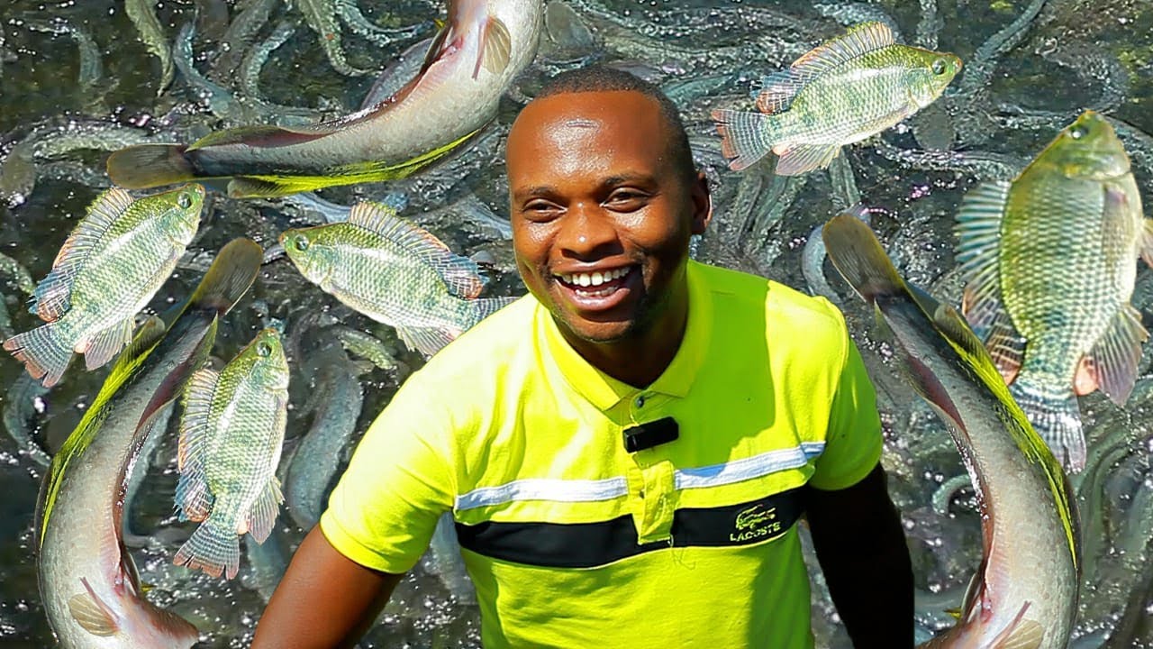 ILDEPHONSE COMEDIAN atweretse UBWOROZI BW'AMAFI aho abugejeje//AMAMILIYONI buvamwo//Uko nabitanguye