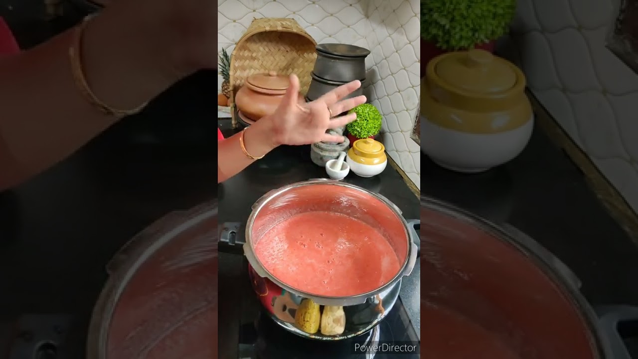 homemade tomato puree