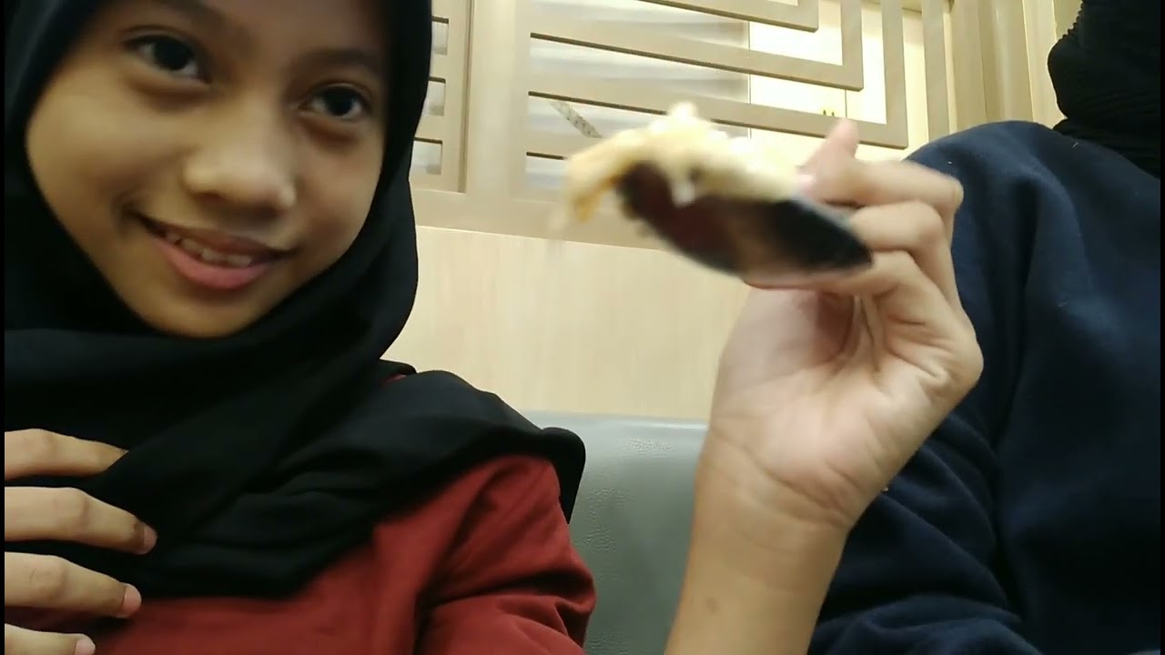 mam2 ultah sp ya lupa