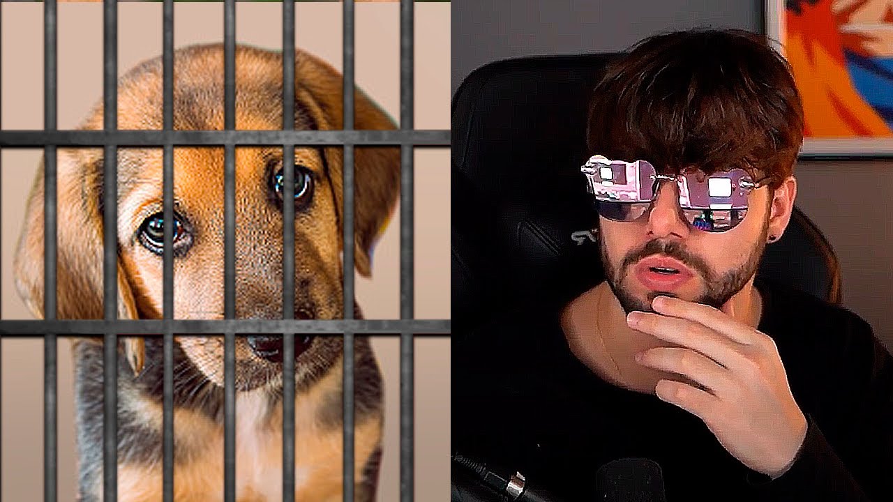 Esse cachorro parece fofo, mas foi preso por matar o próprio dono