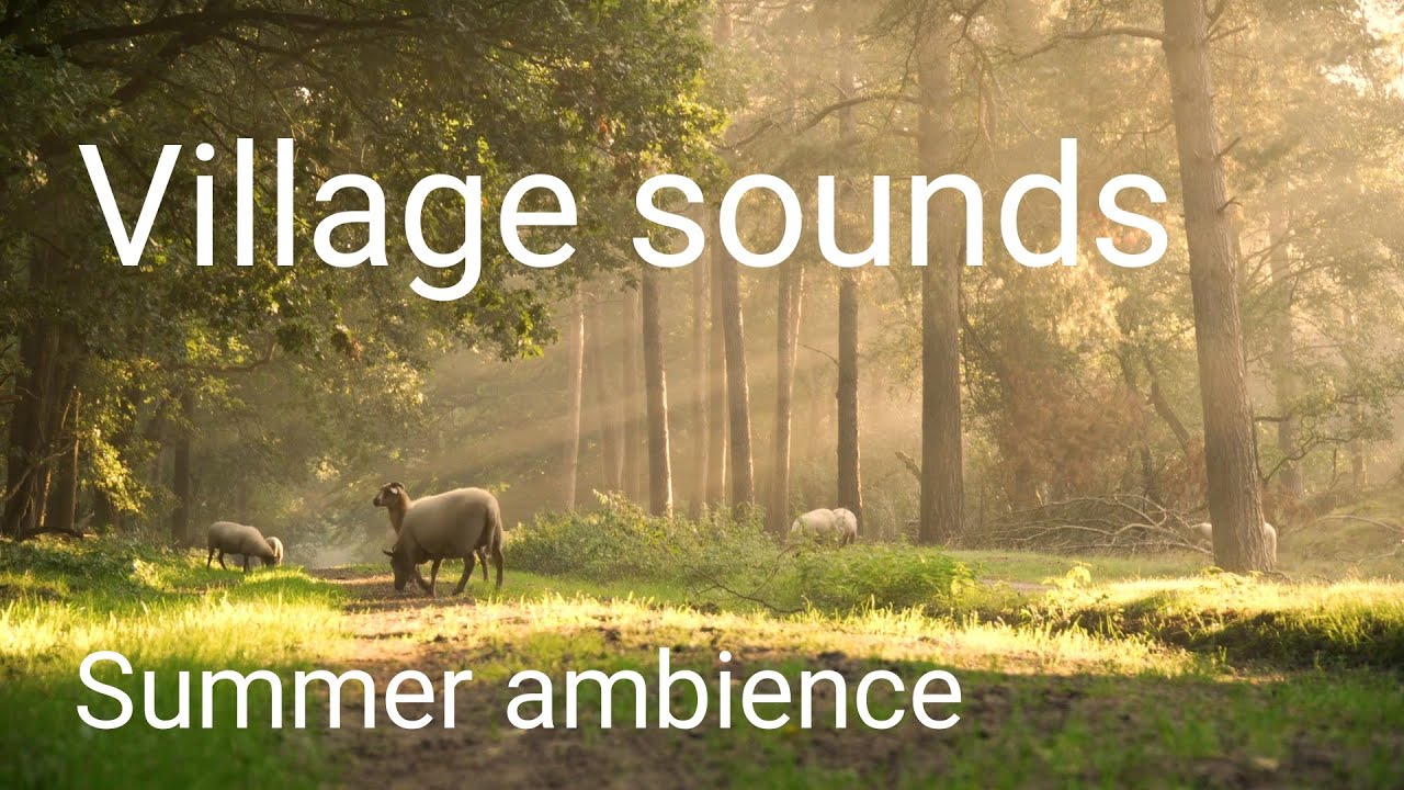 Relaxing village sounds. Summer morning ambience. Village ambience