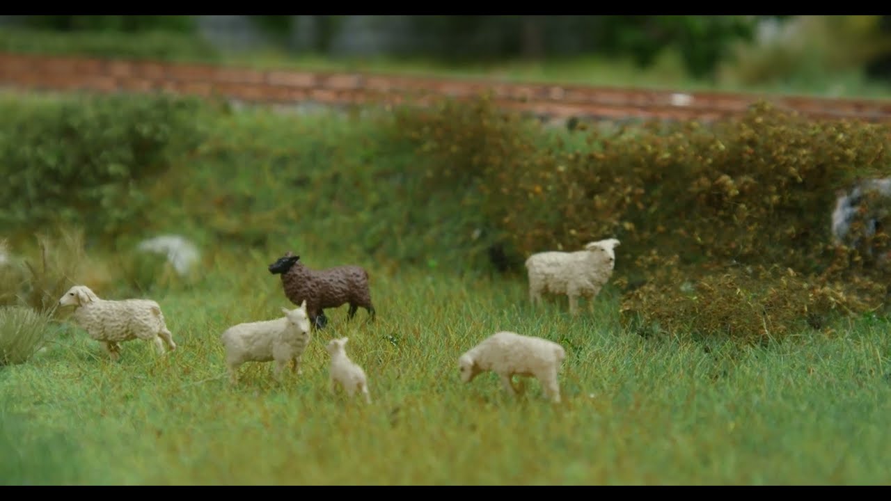 FALLER -  Klangerlebnis! 🐑🔊 Figuren-Set mit Mini-Sound-Effekt Schafe
