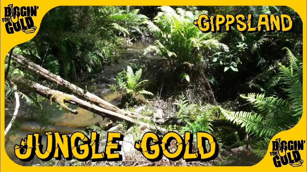 Gippsland Again... ⛏ Gold Prospecting Australia