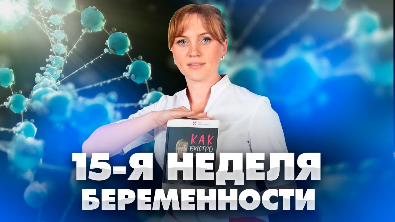 15 неделя беременности. Развитие плода. Живот. Акушер-гинеколог.