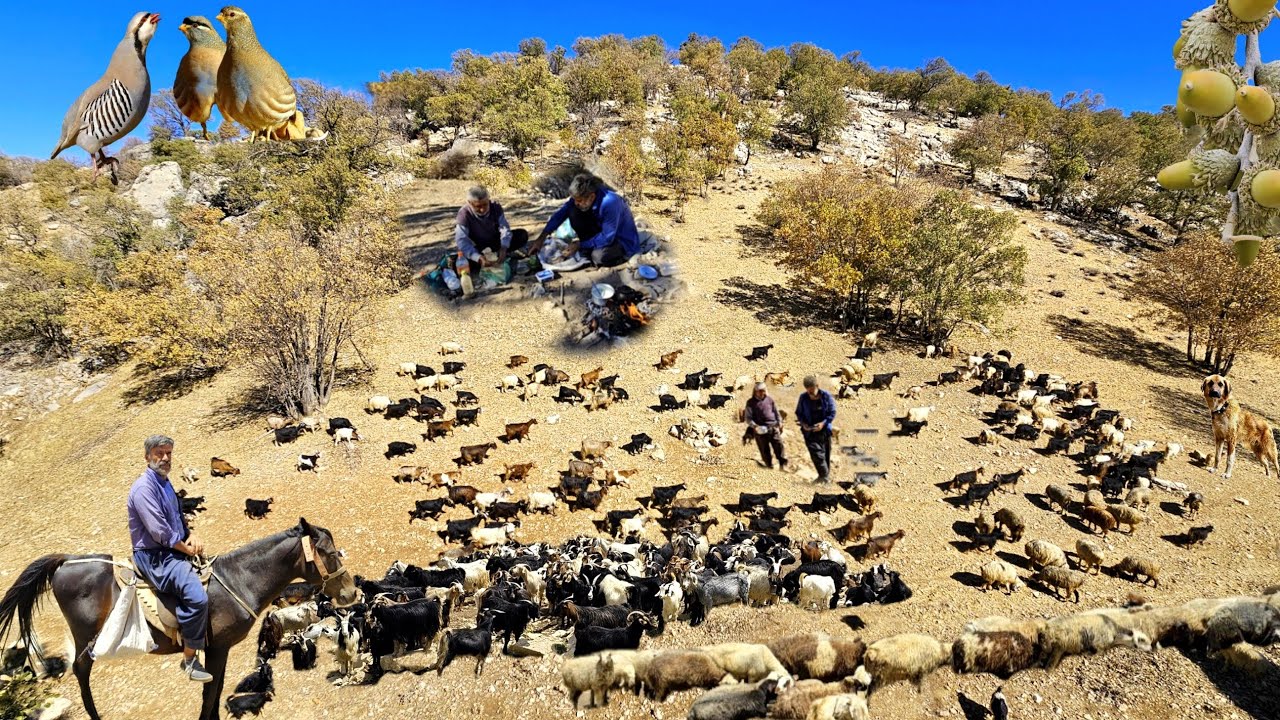 Amazing Nomadic Journey to a Magical Mountain | Shepherds Fishing in a Raging River