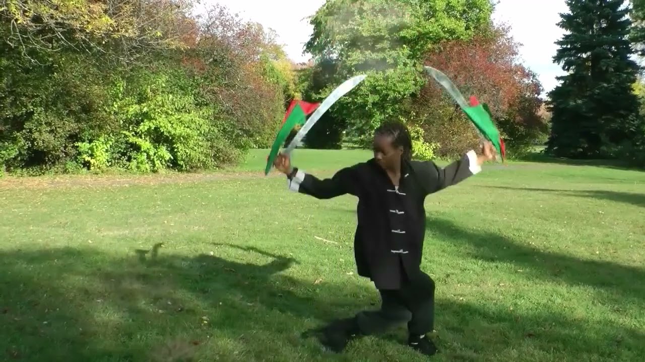 Sil Lum Hung Gar Kung Fu - Double BroadSword Form - Motion effect & Musik by DynDyan!