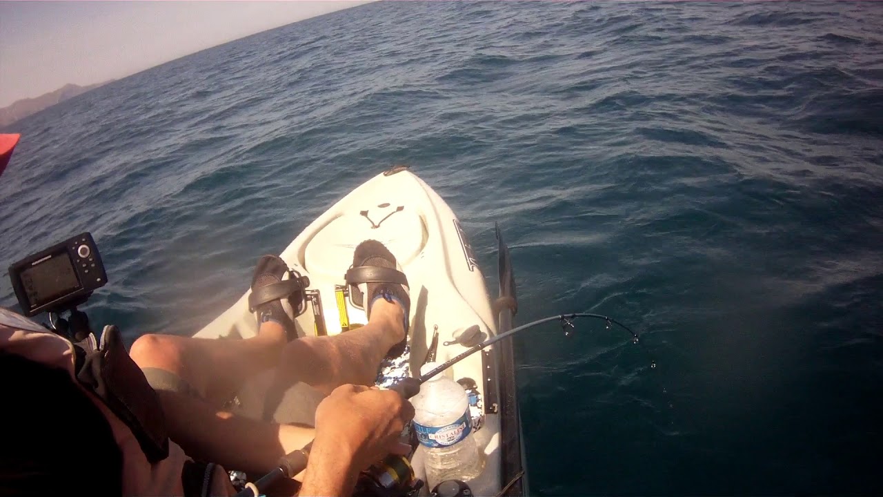 pêche slow jig denti denton dentex XXL en kayak