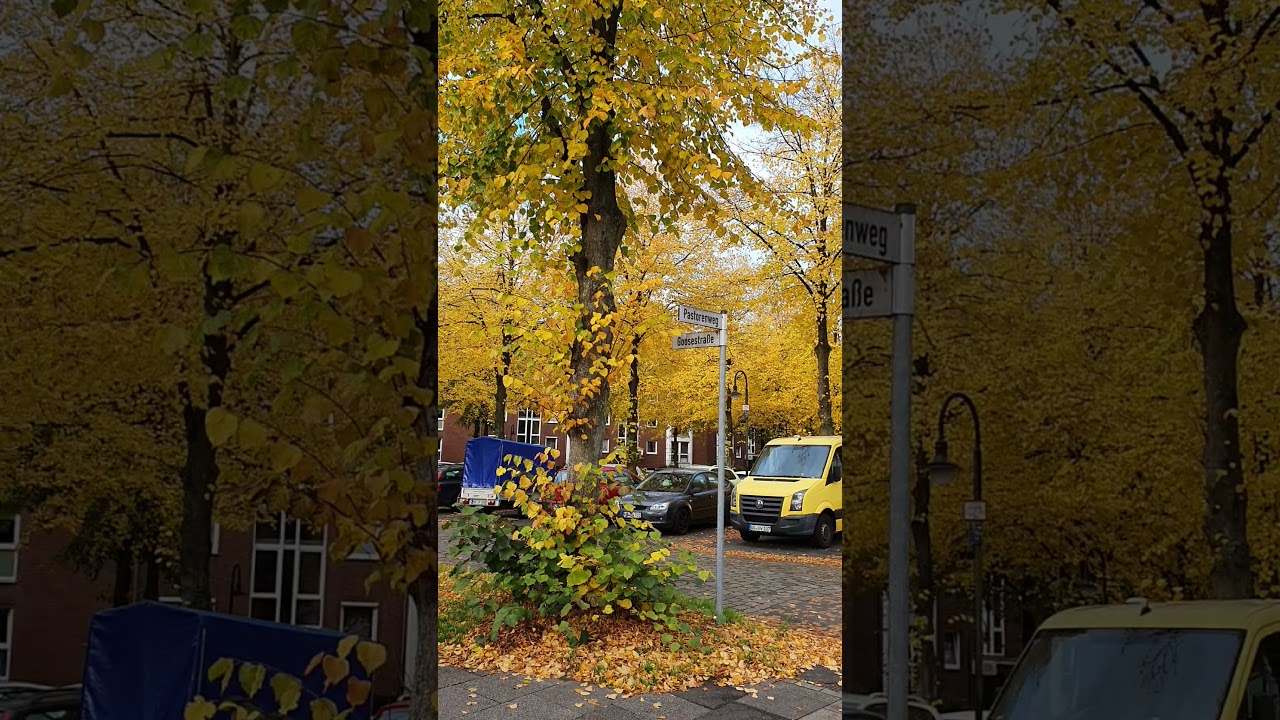 Autumn in Germany (Bremen) طبیعت آلمان