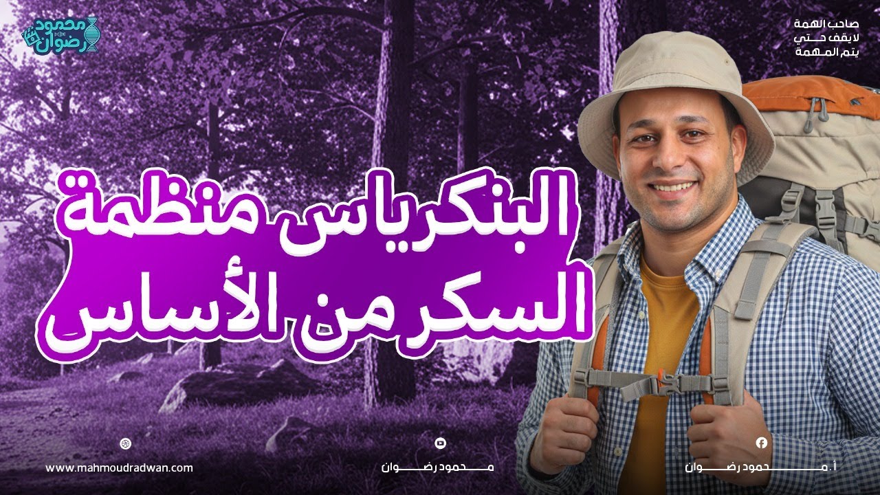 البنكرياس منظمة السكر من الأساس