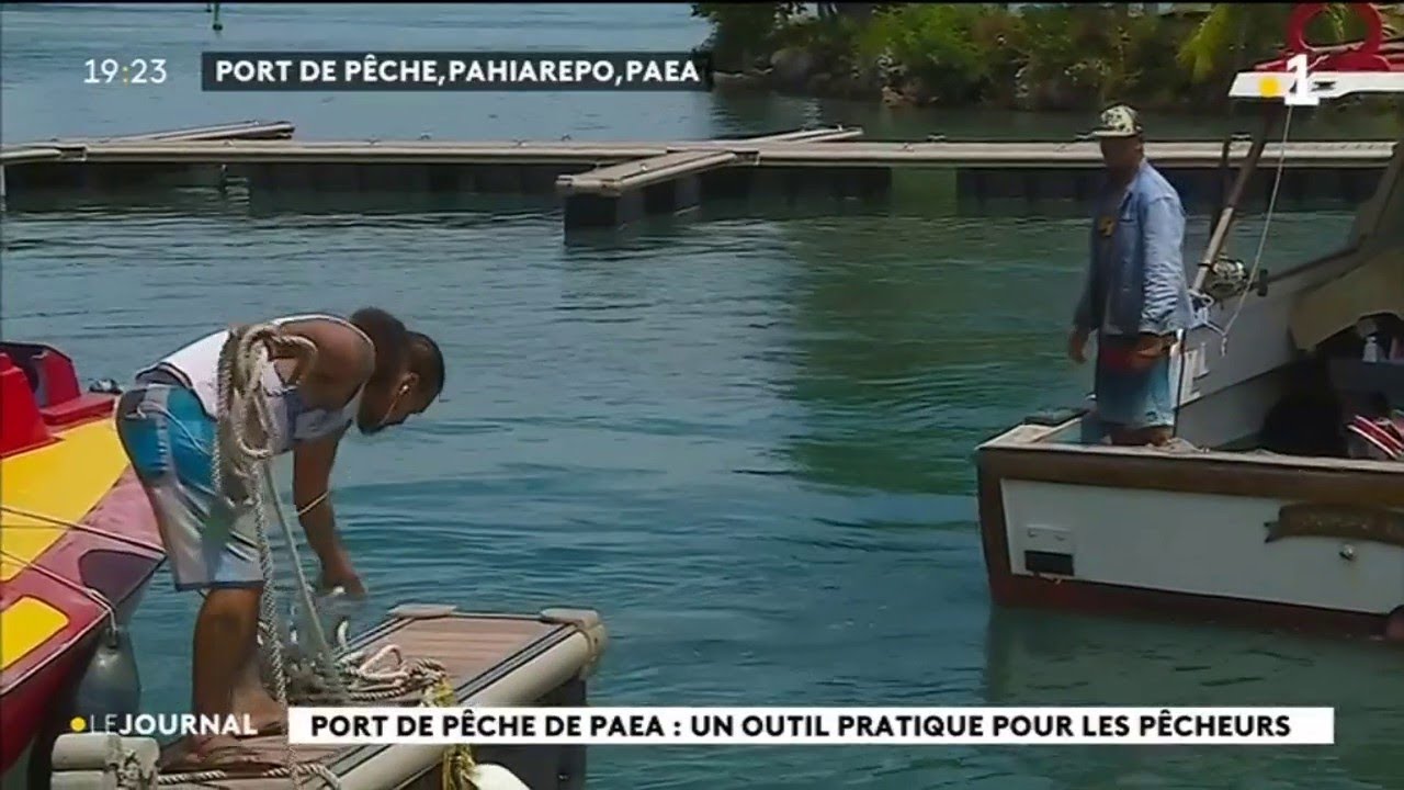 Au cœur du fenua : le port de pêche de Paea