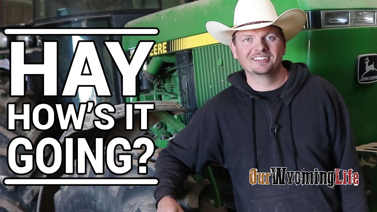 Estimating Hay Yield  for Harvest on the Ranch