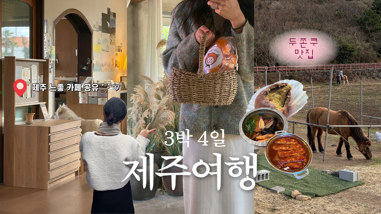 VLOG | 3박 4일 떠난 겨울 제주여행🍊 동쪽에서 서쪽 코스까지 모두 알려줌 *✲ﾟ*｡⋆ | 제주도 찐맛집·나와산·솔옆수·동백포레스트·귤따기체험·모모쥬·두쫀쿠 맛집까지♥