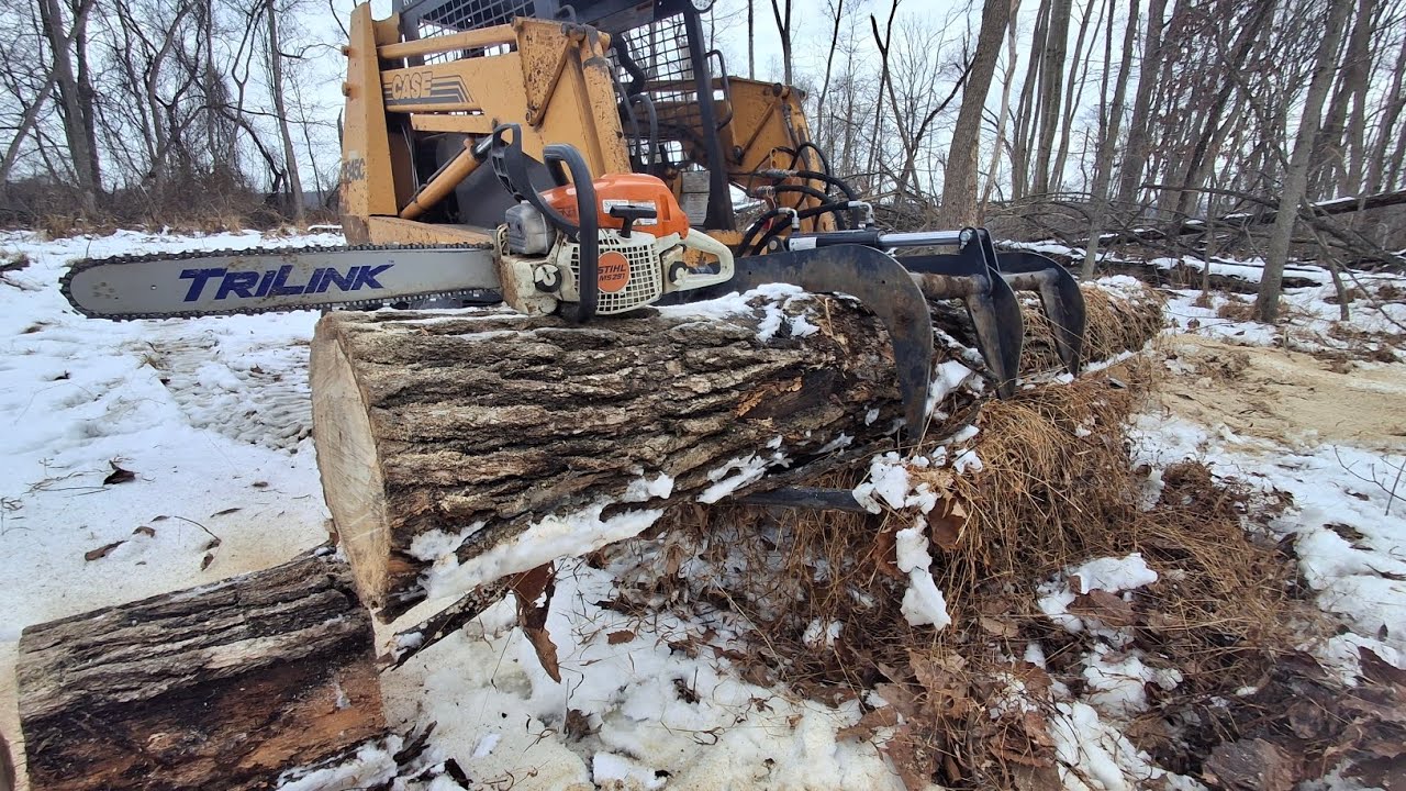 Firewood season Part 1