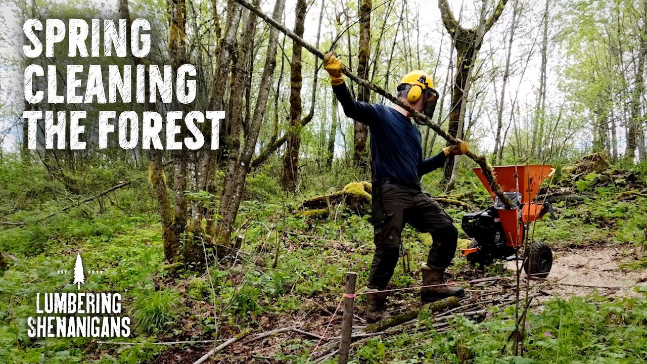 Spring Cleaning The Forest (Using the DK2 3" Chipper)