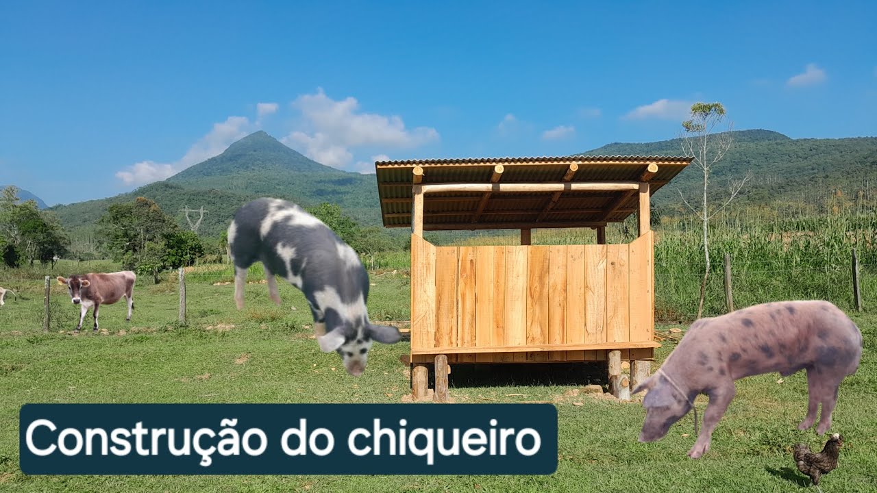 Construímos um chiqueiro 