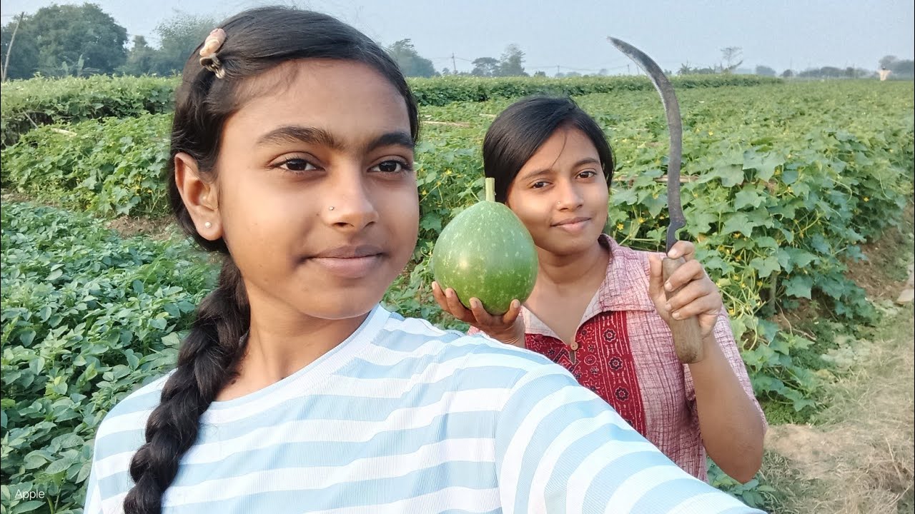 যত্নের অভাবে এবার আমাদের কোনো ফসল ভালো হলো না 😢