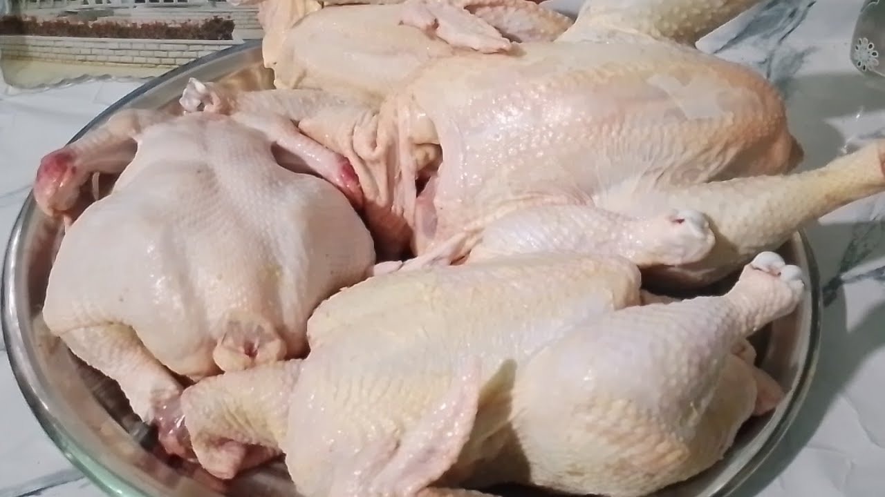 فيديو عند الطيور ، و أخيراً دبحت الفراخ 🥰