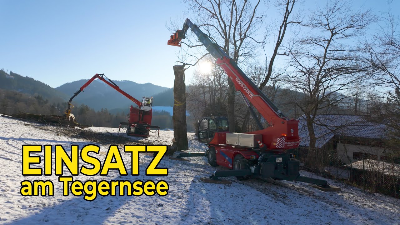 Fällkran und Forst-LKW im Einsatz: Problembaumfällung am Tegernsee mit Huber Kran