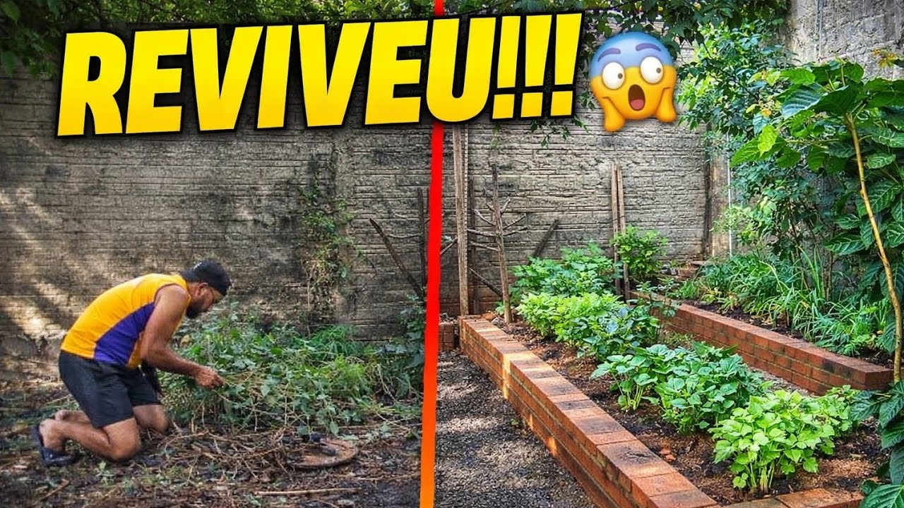 Essa HORTA estava MORRENDO… olha o que fizemos! 😱🌱 | Antes e Depois